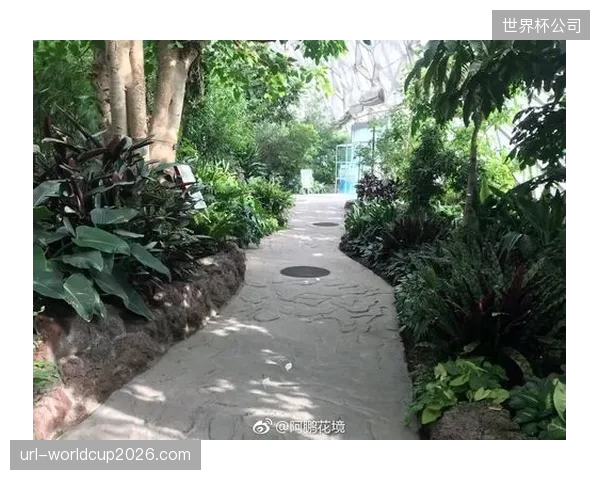 地下温室滴灌管线交接完成延长混合草使用寿命三个赛季